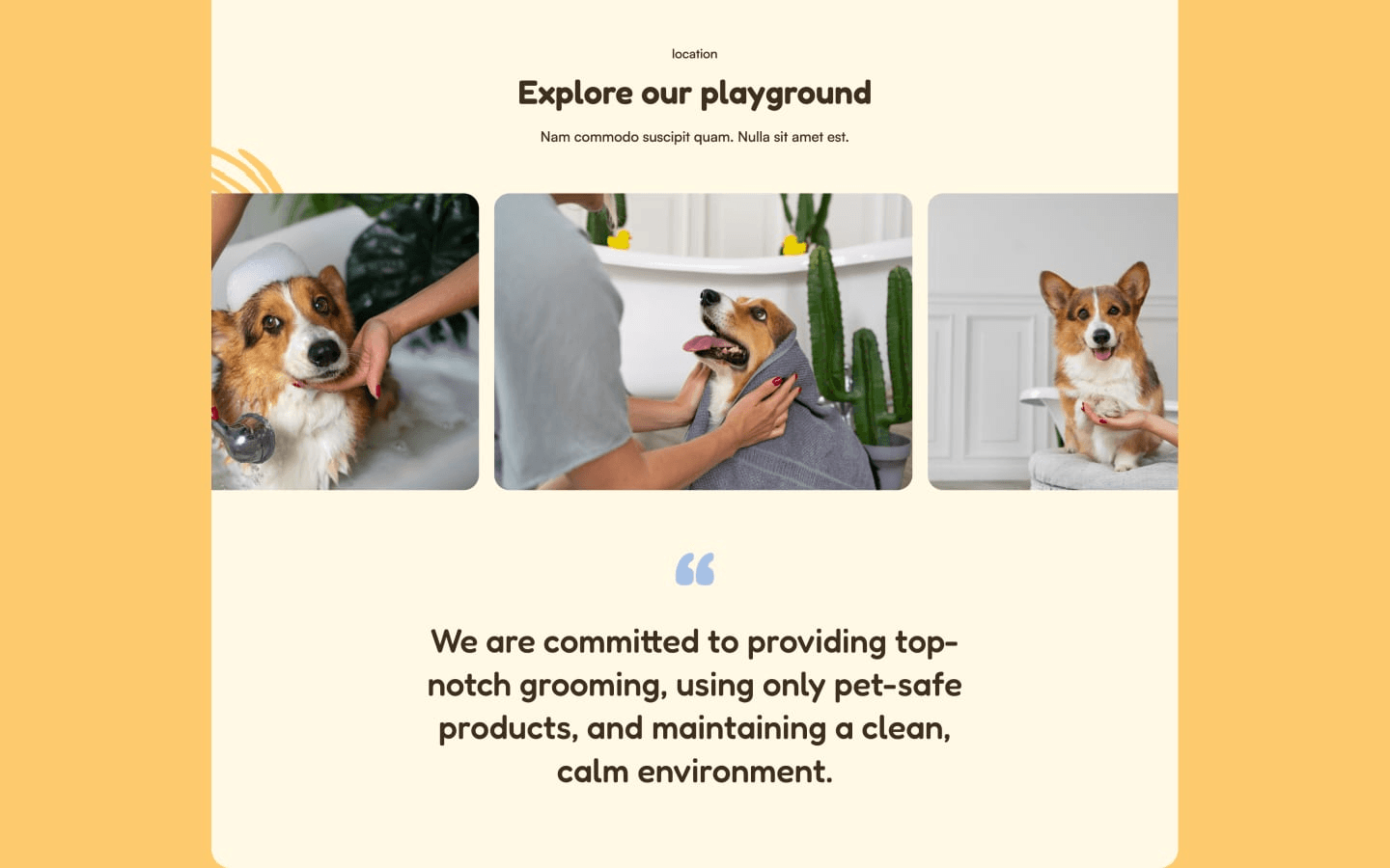 Pet Grooming - Pets Website Template gallery image 5